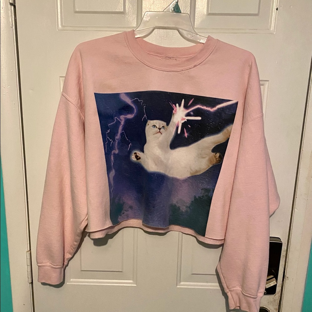 Taylor Swift Cropped Cat Sweatshirt